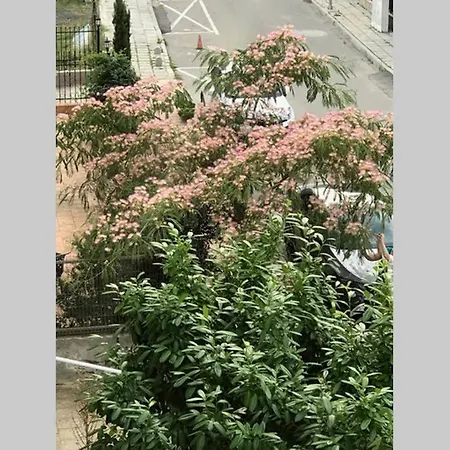 Apartment Familienapartment Am In